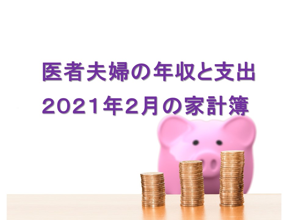 医者夫婦の年収と支出 21年2月の家計簿 医者夫婦の家計簿