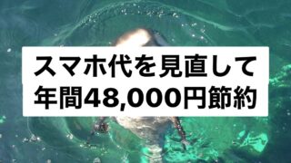 医者夫婦の家計簿 大都会の３０代勤務医夫婦 子供２人 のお金管理のブログ